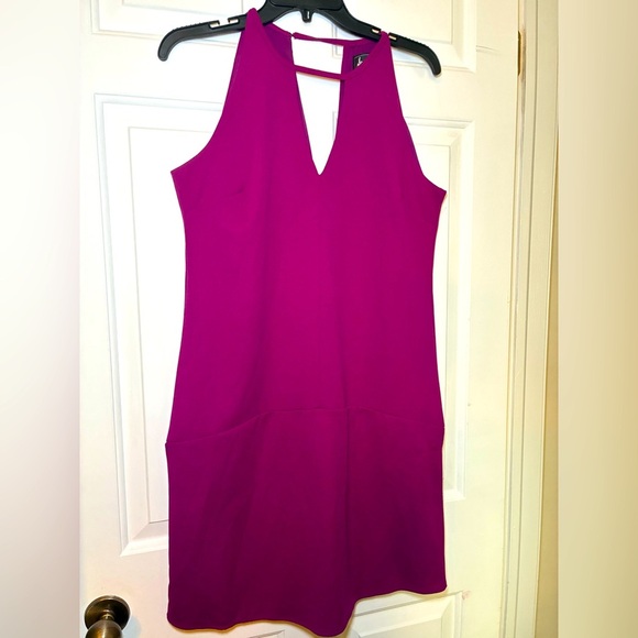 Sam Edelman Woman’s Fuschia Sheath Dress Sz 4 Sleeveless High Neck Deep Double V - Picture 1 of 7